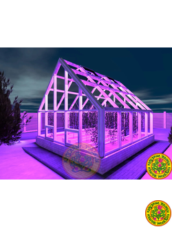 Зимняя Теплица Генрих в классическом английском стиле