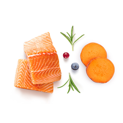 Grandorf Fresh сухой корм для собак крупных пород с лососем и бататом, 10 кг