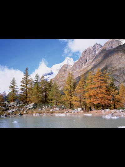 Купить греющую картину с фото лес, озеро, предгорье