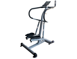 Степпер с поручнями DFC SC-S5901