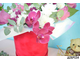 Цветы в шляпной коробке Нежный бархат фото4