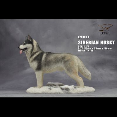 Сибирская хаски (серая) - Коллекционная ФИГУРКА 1/6 scale Husky (QYC003D) - QuanYingCun