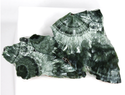 Клинохлор (серафинит), срез полированный с одной стороны, Россия, Иркутская область (60*37*9 мм, 16,6 г) №28403