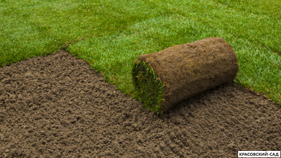 Рулонный газон Промышленный