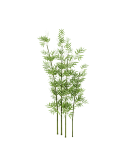 тропические Бамбук 2