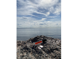 Духи НОТА: ЖЕНСКОЕ ПРИСУТСТВИЕ, 5.5 мл