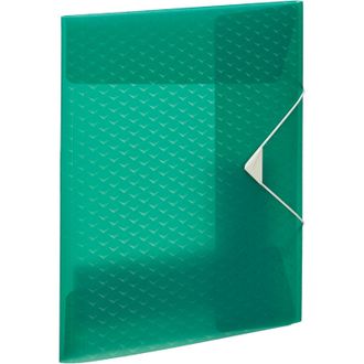 Папка на резинках Esselte Colour Ice, зеленый