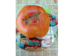 Томат Король Ананас ( King Pineapple, США)