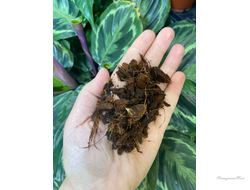 Кокосовые чипсы 1л (мульча) наша фасовка