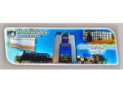 Гибкий магнит 14х5 см. - НГУ Новосибирск | интернет-магазин 2fru.ru