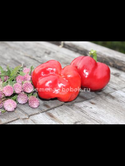 Перец сладкий Фон барон красный, 10 шт.