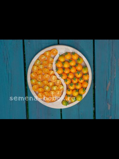 Томат Пендулина оранжевая (Pendulina Orange), 10 шт