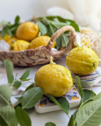 Силиконовая форма Лимон малый