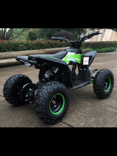 Детский квадроцикл Motax GEKKON 1300W