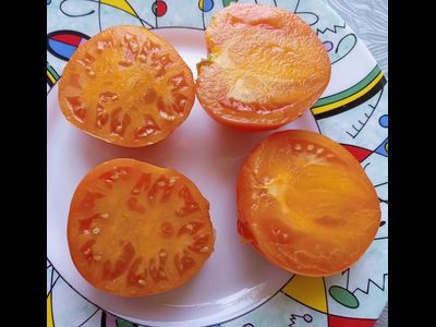 Томат Техас