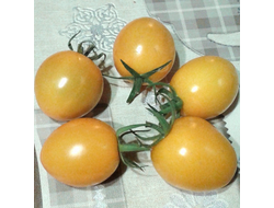 Семена томата Бал цветов желтый