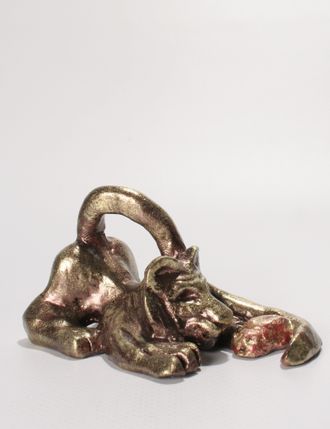 ТИГР  играет