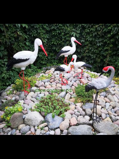 Аист 70*34 см  0,8кг   полистоун Россия 1548/012654 Аист - является символом новой жизни. Согласно русским народным поверьям, аист - птица, приносящая счастье в Ваш дом. Также аист покровительствует рождению детей.