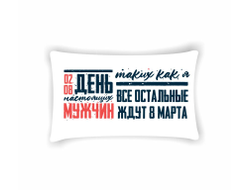 Подушка горизонтальная #20 ВДВ