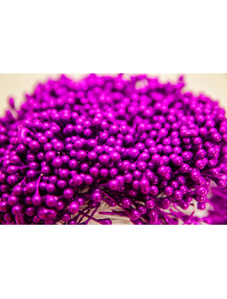 Тычинки капельки около 340 нитей , двусторонние , пурпурный