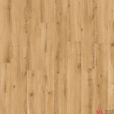SPC ламинат Adelar Solida Acoustic European Oak / Дуб Европейский 04270 купить на vinyl-laminat.ru