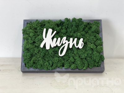 ЖИВАЯ ЭКО-КАРТИНА 1054