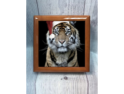 Шкатулки год Тигра