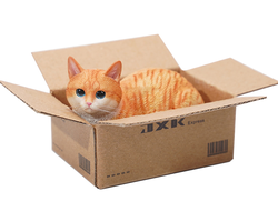 Котик в коробке (рыжий) - Коллекционная ФИГУРКА 1/6 scale The Cat In The Delivery Box 2.0 (JS2302A) - JXK