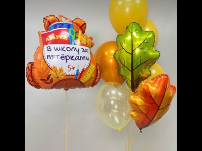 День знаний № 5