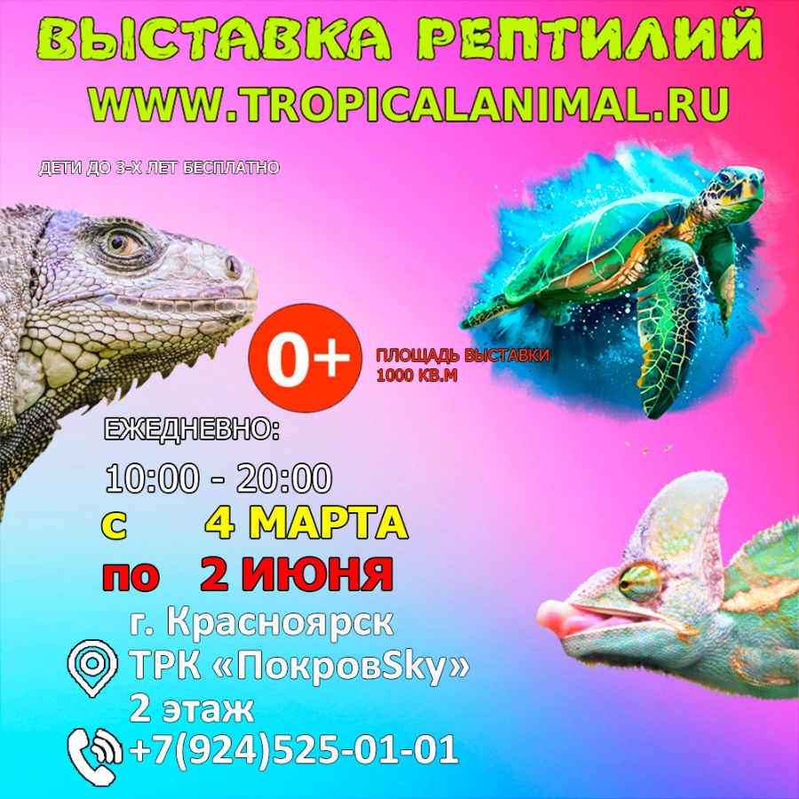 Выставка рептилий кызыл. Выставка рептилий. Выставка рептилий кызыл. Выставка рептилий. Выставка рептилий в орле.