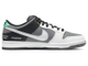 Nike Dunk Sb Pro Iso Vx1000 Camcorder