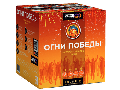 Салют Z2090 ZEERGO