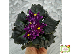 НК-Декамерон (Н.Козак) 2019 г.