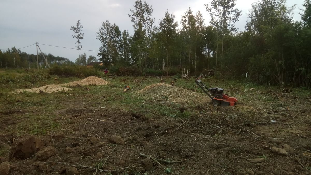 Расчистка участка 10 соток в Плетнихе Новгород