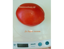 Томат Де Барао гигант