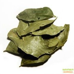 &quot;Листья Карри&quot; производитель &quot;Индийскиетовары.рф&quot; (Curry Leaves, indiskietovary.ru) 20 г
