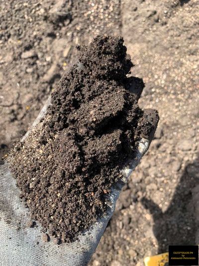 торфогрунт