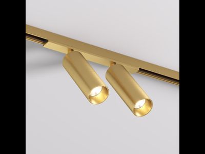 Светильник для трека SHINE SPOT DK5742-SB