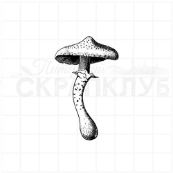 штамп винтажный поганка