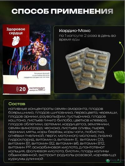 Комплекс при атеросклерозе Церебромакс и Кардиомакс, алтайские статины