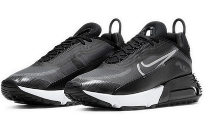 Nike Air Max 2090 Black CW7306 001