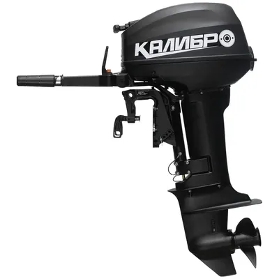 Лодочный мотор КАЛИБР T9.9BS слева