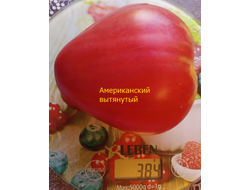 Томат Американский вытянутый