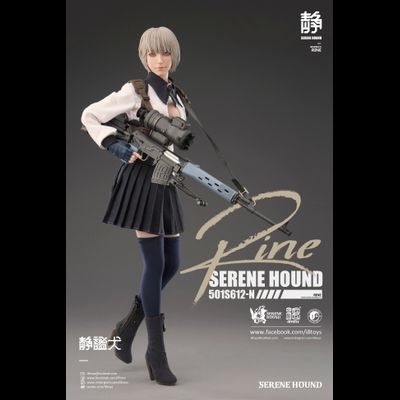 Агент Райн  - Коллекционная ФИГУРКА 1/6 scale &quot;RINE&quot; Serene Hound Troop Figure (501S612-N) - i8TOYS