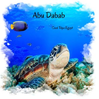 TRIP TO ABU DABAB FROM HURGHADA