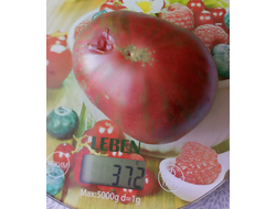 Томат Гном Малиновая нерка (Dwarf Crimson Sockeye)