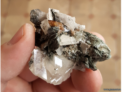 Сфен (титанит) с кальцитом и хлоритом на хлорит-серицитовом сланце. 54*43*30мм.