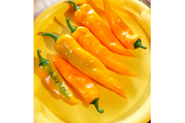 сладкий перец Ариэль