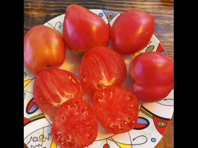 Томат Яйцо Быка с реки Гуадаррама (Huevo Toro Del Rio Guadarrama)