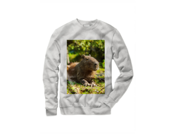 Свитшот Капибара, Kapibara-san №16